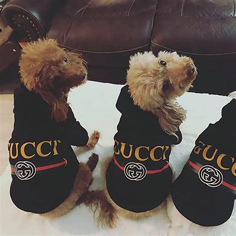 gucci für hunde|Gucci GG Haustiermantel.